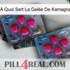 À Quoi Sert La Gelée De Kamagra 14
